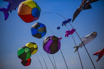 Isolated view of colorful windsock figural kites at the fall kite festival 