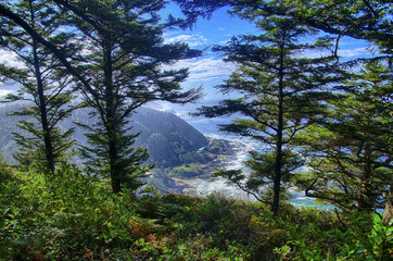 Forested slopes of Cape Perpetua