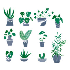 potted plants decorative collection. Flat colorful vector illustration.