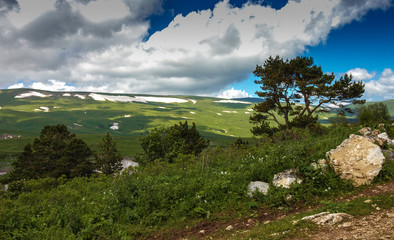 Fototapeta na wymiar Subalpine meadow in spiring Kavkaz mountain.