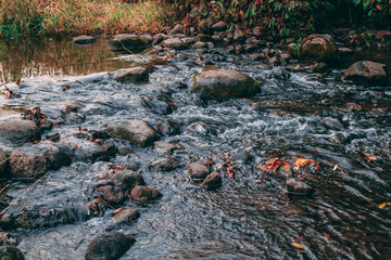 River in the Fall