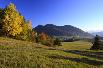 Colorful trees on a  slope  with dry grass and wooded mountains under blue sky. Autumn landscape in Low Beskids (Beskid Niski), Slovakia
