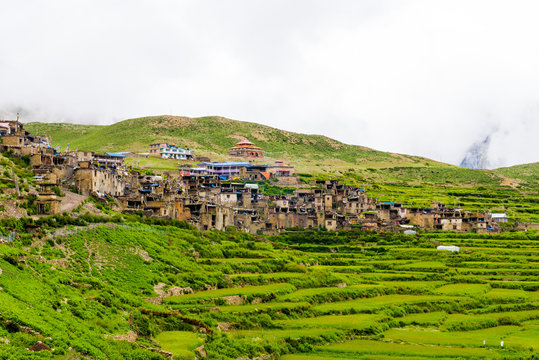 Green terraced fields and traditional architecture in the ancient Tibetan Nar village, Annapurna Conservation Area, Nepal