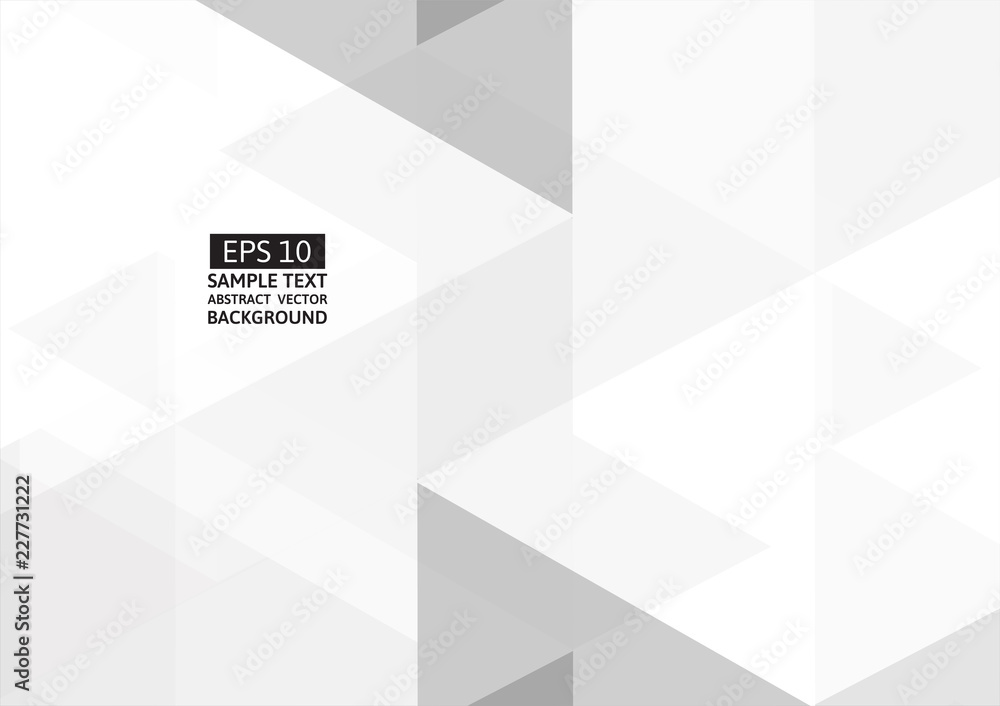 Poster white and gray polygon abstract vector background with copy space