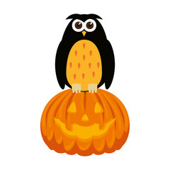 happy halloween pumpkin with owl