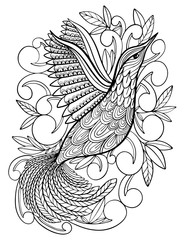 Coloring Pages. Coloring Book for adults. Beautiful template with artwork. School education.Bird hummingbird.