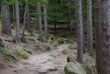 Herbst im Harz, Sachsen - Anhalt