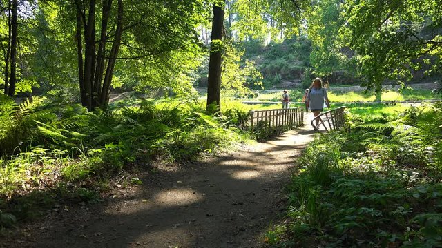 people pass by a small bridge in the park.