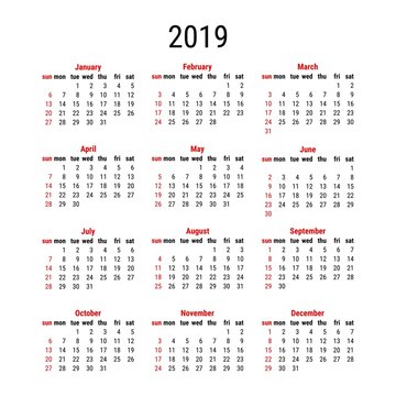Vector 2019 calendar layout. Calendar template