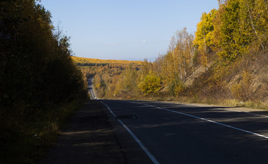 Beautiful autumn wood