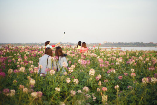 Vietnamese girls standing in field of blossoming flowers between Tay Ho and the Red River in Hanoi, Vietnam