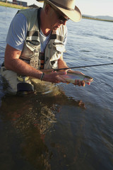 Fly fisherman catching rainbow trout in river