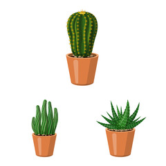 Isolated object of cactus and pot icon. Set of cactus and cacti stock vector illustration.
