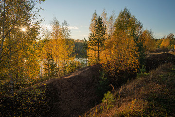 road in autumn forest