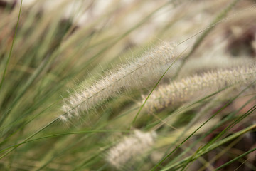 Beautiful in nature.