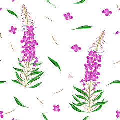 Seamless pattern in Chamerion angustifolium wild flowers.Liberty style millefleurs. Floral background for textile, wallpaper, pattern fills, covers, surface, print, wrap, scrapbooking.