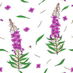 Seamless pattern in Chamerion angustifolium wild flowers.Liberty style millefleurs. Floral background for textile, wallpaper, pattern fills, covers, surface, print, wrap, scrapbooking.