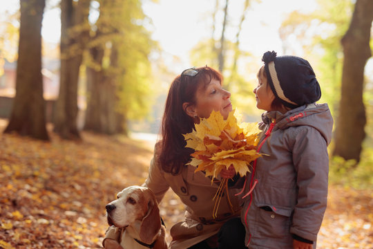 Mid age  woman with little girl and beagle walking  in the autumn park.