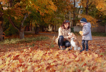 Fototapeta premium Mid age woman with little girl and beagle walking in the autumn park.