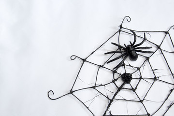 Ragno di Halloween su rete