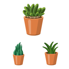 Vector illustration of cactus and pot icon. Collection of cactus and cacti vector icon for stock.
