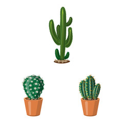 Vector illustration of cactus and pot logo. Collection of cactus and cacti stock symbol for web.