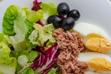 Tuna salad with egg, black olives and greens close up
