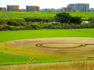 秋の江戸川河川敷風景