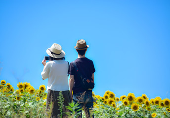 ひまわりを眺める二人