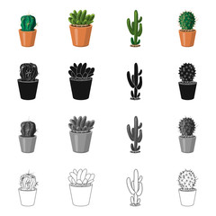 Vector illustration of cactus and pot symbol. Collection of cactus and cacti vector icon for stock.