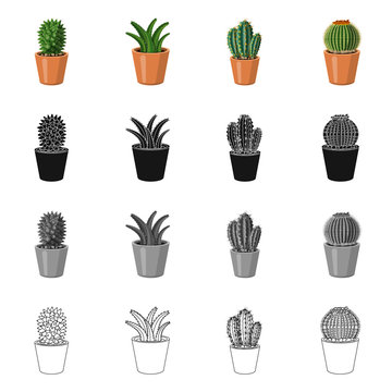 Vector illustration of cactus and pot icon. Collection of cactus and cacti vector icon for stock. © Svitlana