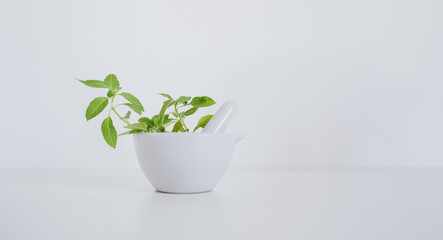 Pestle/mortar with medical herbs, copy space