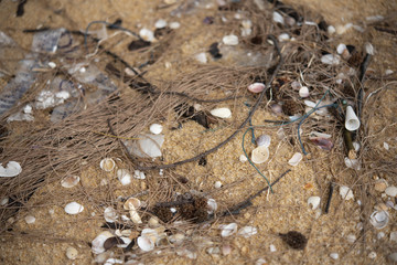 Dirty beach 