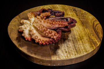 octopus