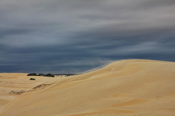 Fototapeta na wymiar Stormy weather in the desert