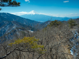 Obraz premium 遠くに富士山