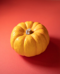 pumpkin22