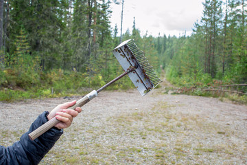 Fototapete bei efototapeten.de bestellen   