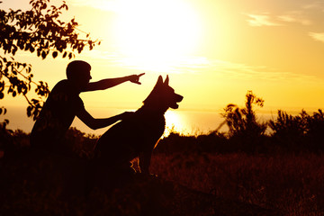 silhouette of a young man walking with a dog on the field at sunset, boy with his pet enjoying nature, profile of boy lookinf into the distance,concept of active leisure