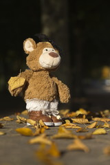 ooh, welches nehme ich nur?