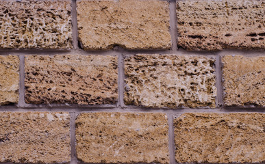 Macro image of fouling brown brick.
