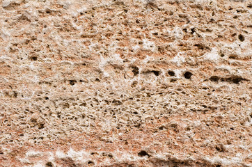 Macro image of fouling brown brick.