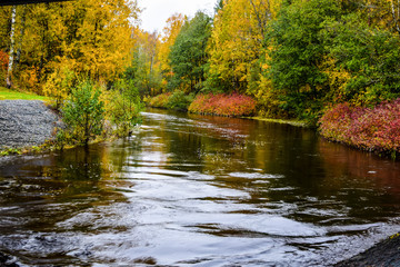 Fototapeta na wymiar Autumn forest river landscape