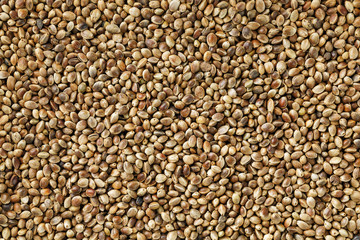 Hemp seeds. Close up. Space for text.