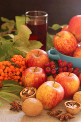 Naklejka na ściany i meble Apples and berries with autumn mood