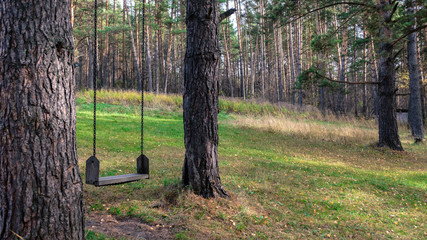 swing on the chains between the trees