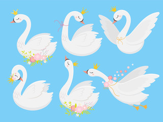 Cute princess swan. Beautiful white swans in gold crown, cartoon goose bird and duckling vector illustration set © Tartila