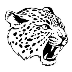 jaguar © Irina