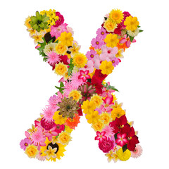 Letter X alphabet with flower ABC concept type as logo isolated on white background. With clipping path