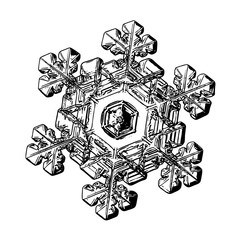Snowflake isolated on white background. This illustration based on macro photo of real snow crystal: elegant stellar dendrite with relief surface, large central hexagon and short, broad arms.